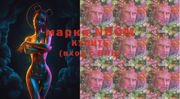 гидра Володарск