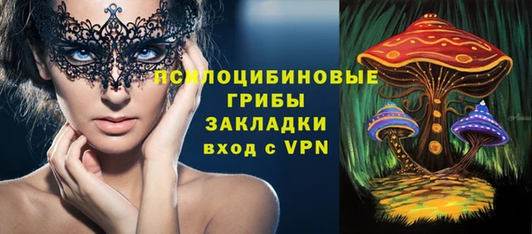 гидра Володарск
