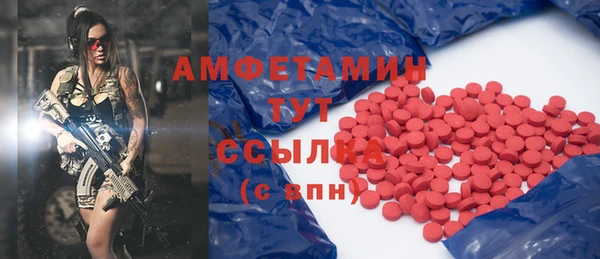 гидра Володарск
